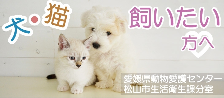 ネットワーク 犬 猫 ピースワンコジャパンへの公開質問状