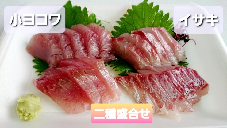 本日のお刺身 定置もん 島根県産小ヨコワ イサキ 寺津屋 仕出し 会席料理のニュース まいぷれ 松江 本日のお刺身 定置もん 島根県産小ヨコワ イサキ 寺津屋 仕出し 会席料理のニュース まいぷれ 松江