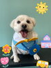 「Dog salon mofu mofu 余市町」