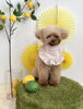 むぎちゃん「わんことレモン🍋」