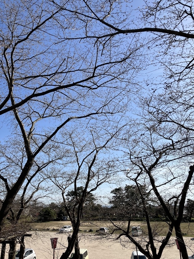 境台場公園  境港市