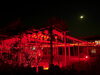 「初えびす大祭、無事終了しました」