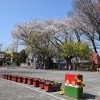 🔴園庭