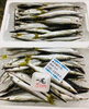 「魚魚市場鮮魚コーナーおすすめは「北海道産ホタテ・特価！クロムツ」です♪」