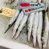 「魚魚市場鮮魚コーナーおすすめ商品は「北海道産ホタテ・トビウオ」です♪」
