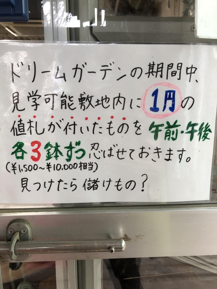 植物好きなら誰もが知る 植木の老舗卸問屋 花宇宙 さん かわいいなさんの空中散歩 まいぷれ 川西 猪名川 植物好きなら誰もが知る 植木の老舗卸問屋 花宇宙 さん かわいいなさんの空中散歩 まいぷれ 川西 猪名川