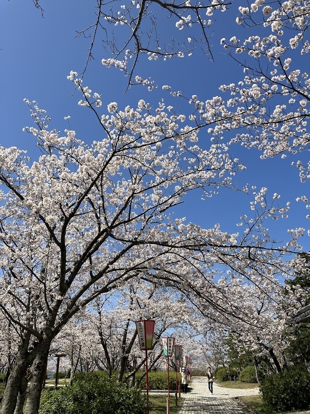 名和公園  大山町名和