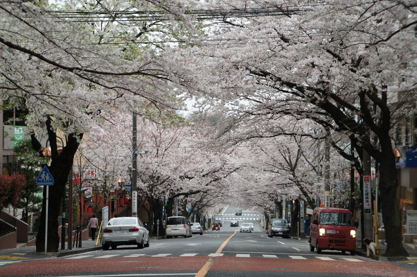 春待坂 宮前区 お花見するならここ 川崎市の 桜 特集 2021年 まいぷれ 川崎市