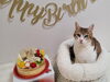 「♡我が家のHAPPY BIRTH DAY ♡」