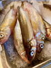 北海道広尾産の生本ししゃも「本柳葉魚」