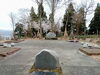 「春のトレッキング、おすすめスポット！桜とカタクリが見頃を迎えた小出公園に行ってきました！」