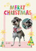 「Dog salon mofu mofu　余市町」