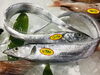 「魚魚市場鮮魚コーナーおすすめは「甘エビ・天然ヒラメ」です♪」