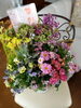 ♡周年祭♡「お陰様で11周年を迎えることが出来ました♡」