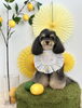 おとくん「わんことレモン🍋」