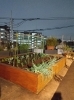 多くの野菜が植えられていますฅʕ•̫͡•ʔฅ「介護サークルかがやき丘の上の小さな家自慢「秋のご膳」🍂ミニ懐石❓」