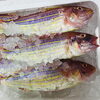 「魚魚市場鮮魚コーナーおすすめ商品「イトヨリ・あじ」です♪」
