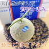 「富良野メロン掲載しました🍈」