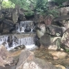 北区の水遊びができる公園特集！Part1