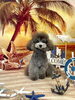 ペルルちゃん「サンセットビーチ🏖️」