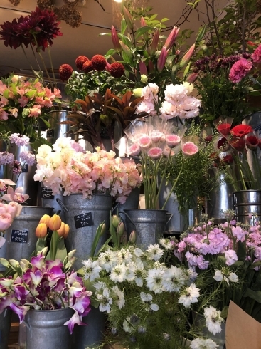 Swe5dhj2jgzvgm Swe5dhj2jgzvgm