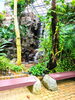 滝が現れました「植物園へGO〜🌴」