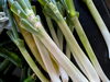 「いただいたお野菜で仕込む、さっぱり水キムチのご紹介」
