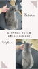 短毛ちゃん　Before After「岡山猫専門サロン　シャンプーするタイミングとは！？」