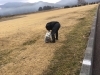 「3月のJARA全国一斉清掃実施しました！！★地域をきれいに★環境整備★」