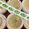 「茨城県産「オトメメロン」が入荷しました～♪♪」