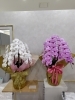 「【泉佐野市、貝塚市、熊取町で】プレオープンや内覧会やお披露目会に贈るお花、飾るお花をお探しの方にオススメの花屋りっちゅ情報」