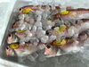 「魚魚市場鮮魚コーナーおすすめは「カナトフグ」です♪」