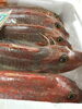 「魚魚市場鮮魚コーナーおすすめは「ギンガメアジ」です♪」