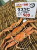 「【漁期終了迫る】12月31日まで！旬のセコガニ500円～＆地酒で京丹後の冬を堪能」