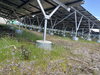 「太陽光発電所の除草管理はお任せください」