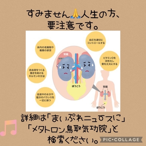 不安 恐れ 腎「【「すみません」人生を送っておられる方 要注意です】 60分のメタトロン遠隔ヒーリングで頭痛・不安・不眠の波動改善　メタトロン鳥取・米子・境港・松江 」