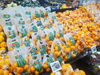 「みかん入荷中！1個から箱まで用途に合わせてお選びいただけます」