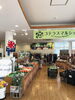 直売所「天王崎交流センターコテラス直売所より、旬の食材の入荷のご案内♫」