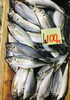 「魚魚市場鮮魚コーナーおすすめは「アマダイ・アジ」です♪」