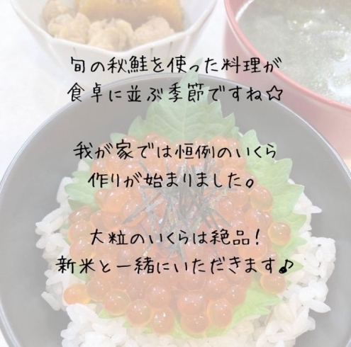 「【食育】イクラには健康に役立つ栄養が豊富　【澄川駅から徒歩1分　親子で楽しく通える予防歯科・桜田歯科医院】」