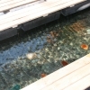 【魚沼・南魚沼】無料で利用できる足湯まとめ