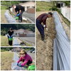地域の方や園芸員、写っていない園芸委員もいます。「ミニのヒマワリが咲きました。」