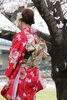 「桜満開！おめでとうございます！」