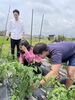 新鮮京野菜「第二回ファームヨガ　大成功」