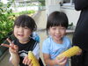 みてみて！トウモロコシおいしそうでしょ♡「☆夏野菜の収穫＆スイカ割り☆」
