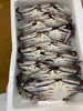 「鮮魚パックいろいろ販売中‼️〆鯖も販売致します🐳」
