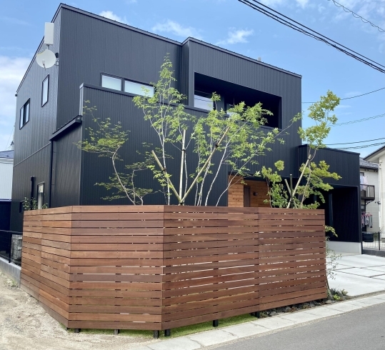 腐らない天然木のシンプルの目隠しフェンス 福島市ガーデンエクステリア 庭造りのプロ 植栽から剪定メンテナンスまで 株式会社 Little Bear Gardenのニュース まいぷれ 福島市 腐らない天然木のシンプルの目隠しフェンス 福島市ガーデンエクステリア 庭造りのプロ 植栽から剪定メンテナンスまで 株式会社 Little Bear Gardenのニュース まいぷれ 福島市