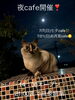 店主の夜cafe告知「夜cafeやります【岡山市中区国府市場　冷めても美味しい　自家焙煎　珈琲屋まるこ】」