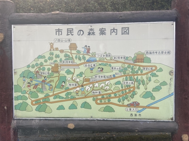 西条市民の森 2月2日の梅林園の様子 まいぷれ新居浜 まいぷれ西条編集部のニュース まいぷれ 新居浜市 西条市民の森 2月2日の梅林園の様子 まいぷれ新居浜 まいぷれ西条編集部のニュース まいぷれ 新居浜市