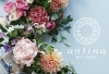 ギフトセレクトショップ Antina Gift Studio アンティナギフトスタジオ 心斎橋 19年9月日グランドオープン 編集部注目の新店特集 まいぷれ 大阪市中央区 ギフトセレクトショップ Antina Gift Studio アンティナギフトスタジオ 心斎橋 19年9月日グランドオープン 編集部注目の新店特集 まいぷれ 大阪市中央区